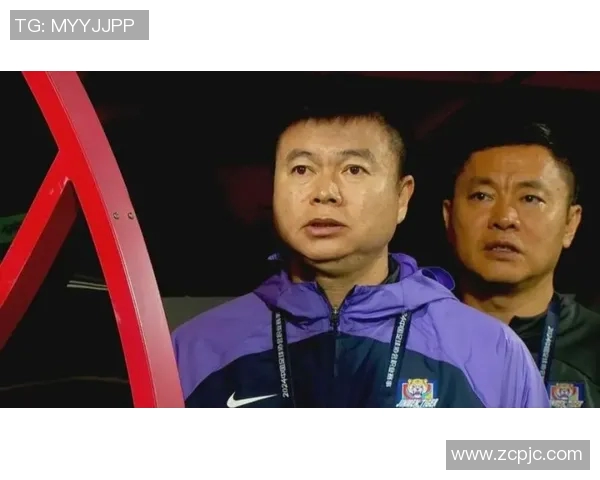 小虎足球明星背后的故事与成就揭秘，谁是最闪耀的那颗星